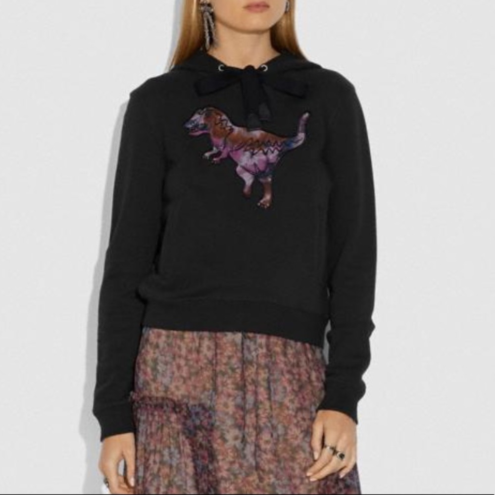 Coach Embroidered Rexy sweatshirt size M
